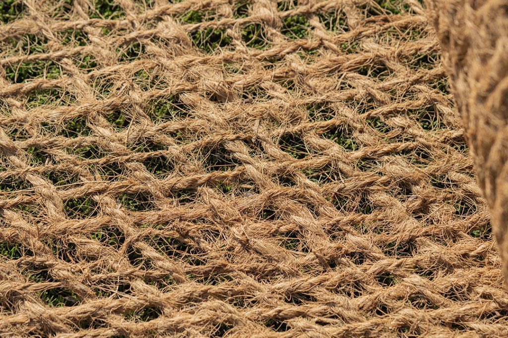 Toile coco extra détail