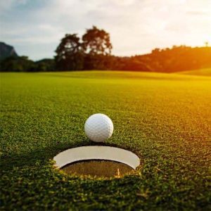 Césped deportivo Putting Green