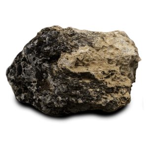 rocalla extraa jaula