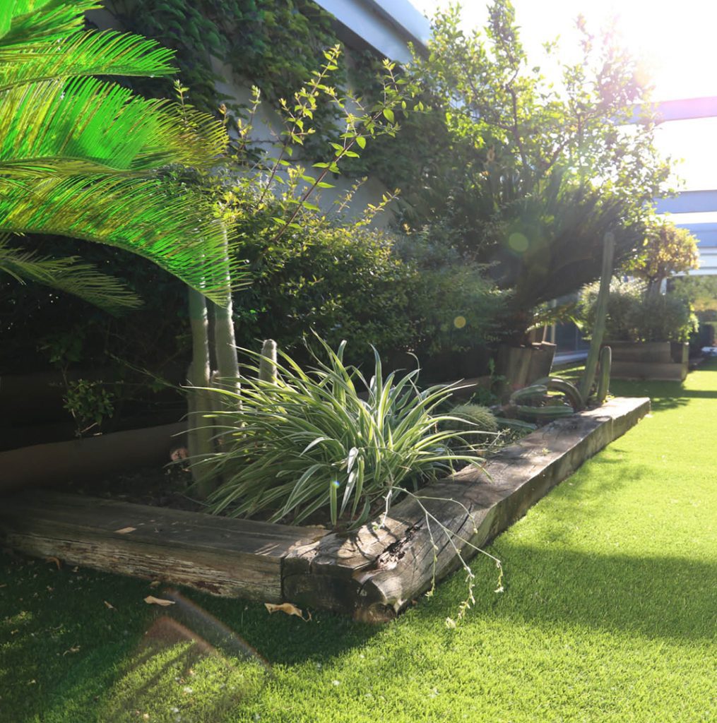 Sylvan 35mm detalles jardin