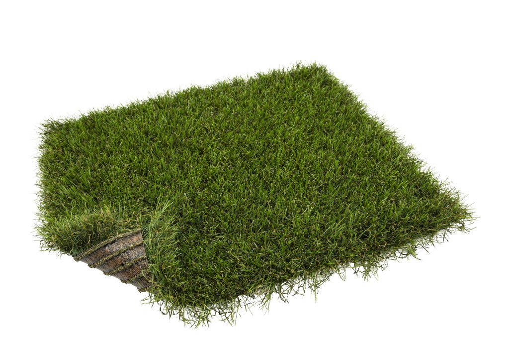 cesped artificial turfgrass Ceylon 30