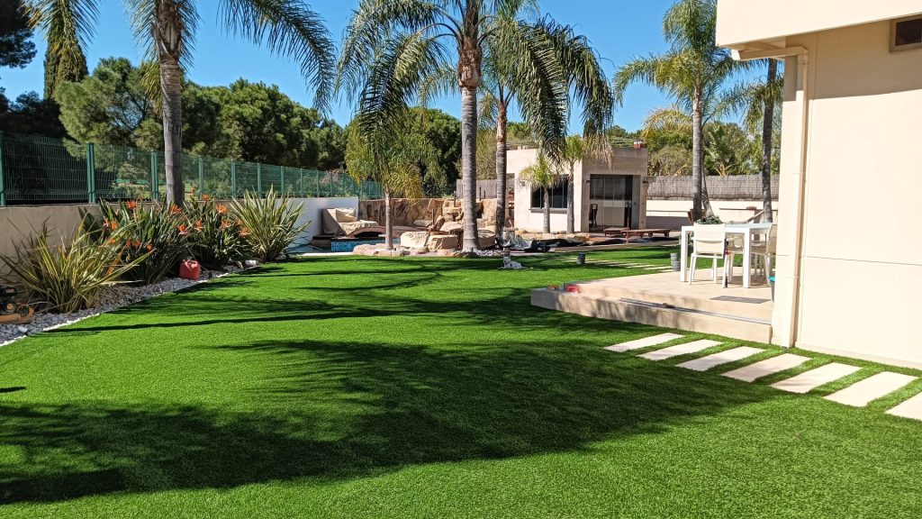 Modelo ceylon turfgrass