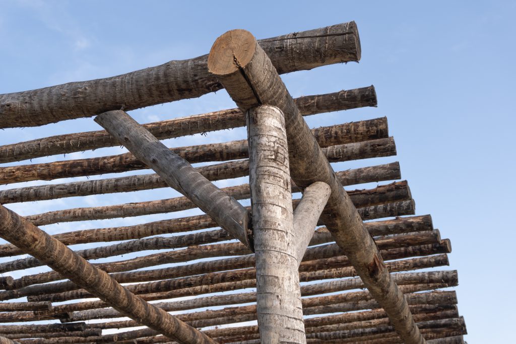 Detalle pérgola eucalipto